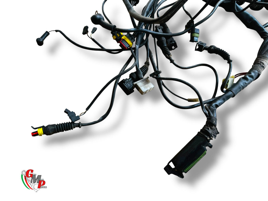 Mazo de cables principal - Ducati