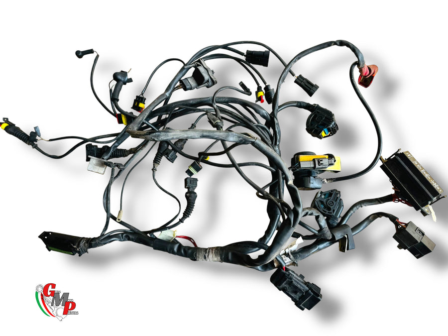 Mazo de cables principal - Ducati