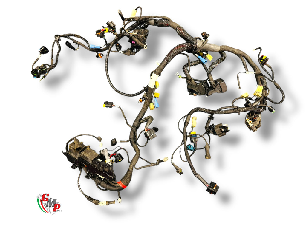 Faisceau électrique complet - Ducati