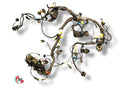 Cableado eléctrico completo - Ducati