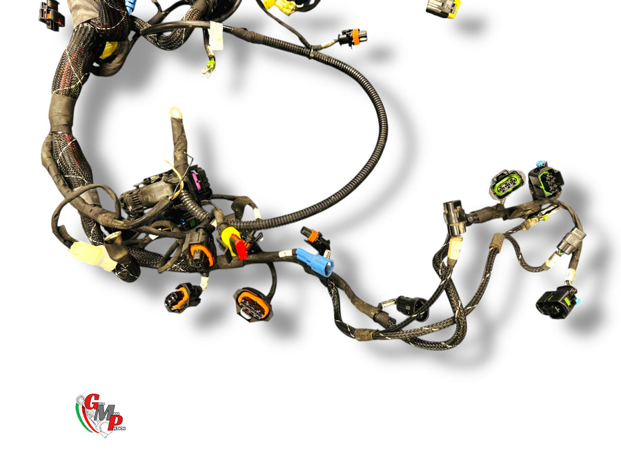 Cableado eléctrico completo - Ducati