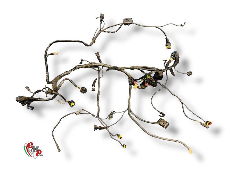 Cableado eléctrico completo - Ducati