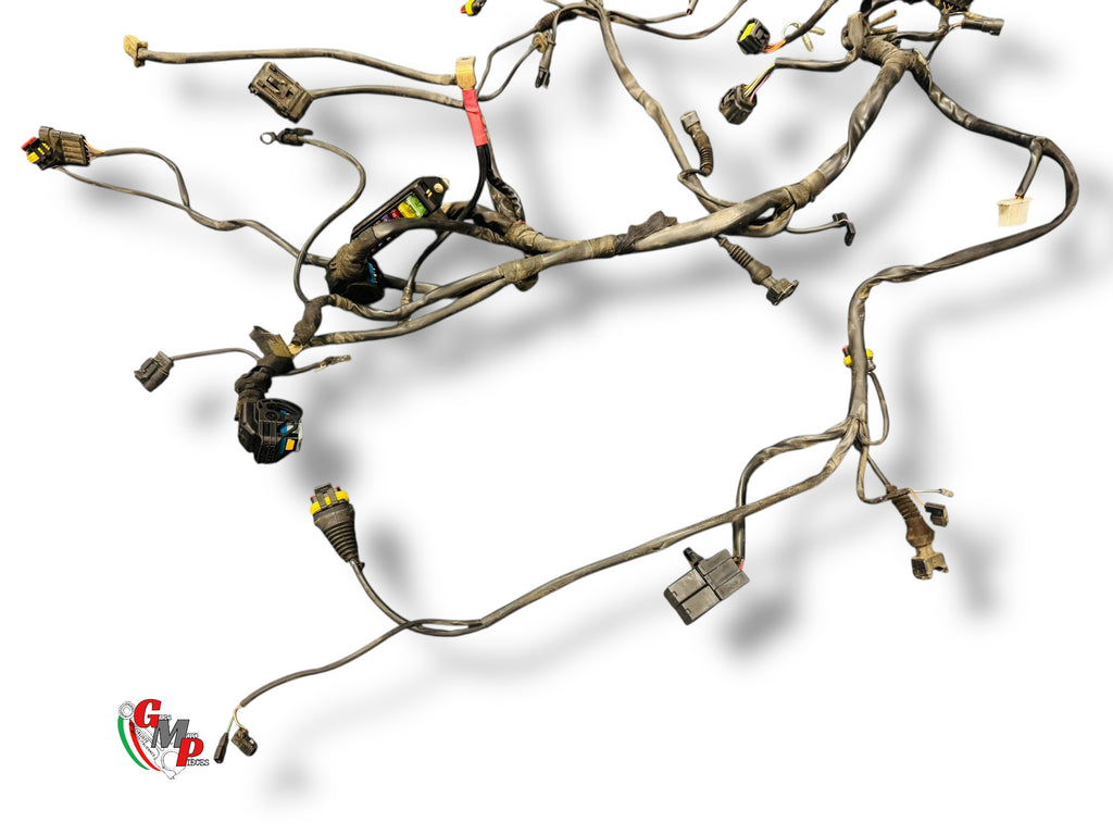 Faisceau électrique complet - Ducati