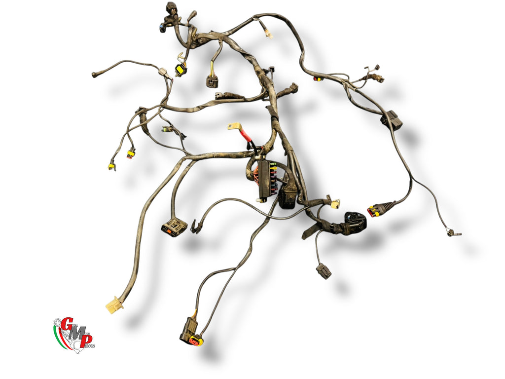 Faisceau électrique complet - Ducati